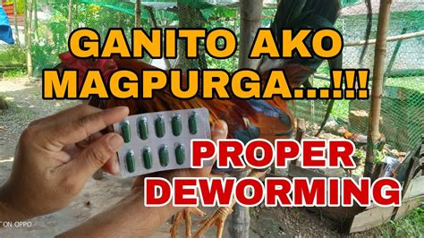 purga sa manok|MGA PAMAMARAAN KO SA PAGPUPURGA NG AKING MGA .